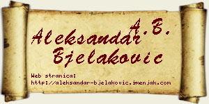 Aleksandar Bjelaković vizit kartica